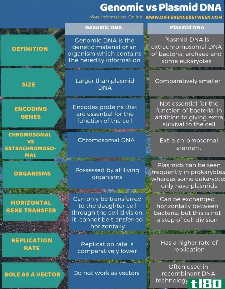 基因组学(genomic)和dna质粒(pla**id dna)的区别