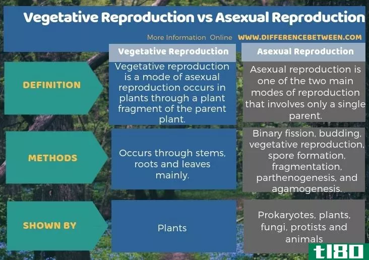 营养繁殖(vegetative reproduction)和无性生殖(asexual reproduction)的区别