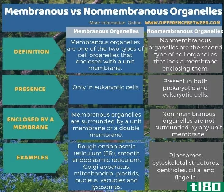 膜的(membranous)和非膜细胞器(nonmembranous organelles)的区别