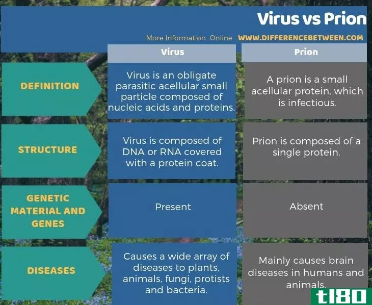 病毒(virus)和朊病毒(prion)的区别