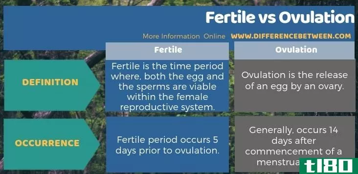 肥沃的(fertile)和排卵(ovulation)的区别