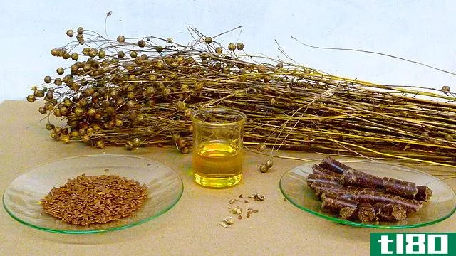 亚麻籽油(flaxseed oil)和鱼油(fish oil)的区别