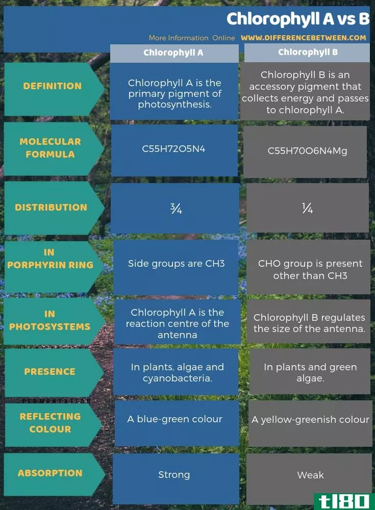 叶绿素a(chlorophyll a)和b(b)的区别