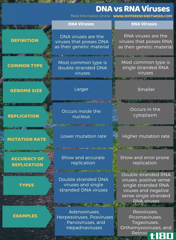 dna之间的差异(differences between dna)和rna病毒(rna viruses)的区别