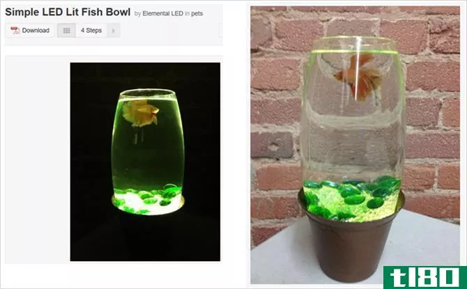 LED fish bowl