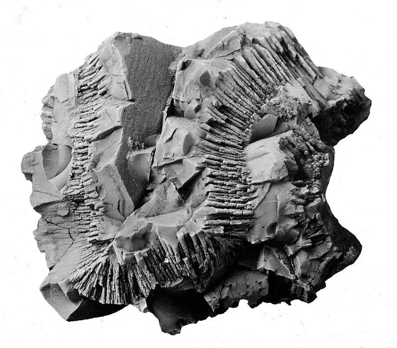 软锰矿(pyrolusite)和假单胞菌(psilomelane)的区别
