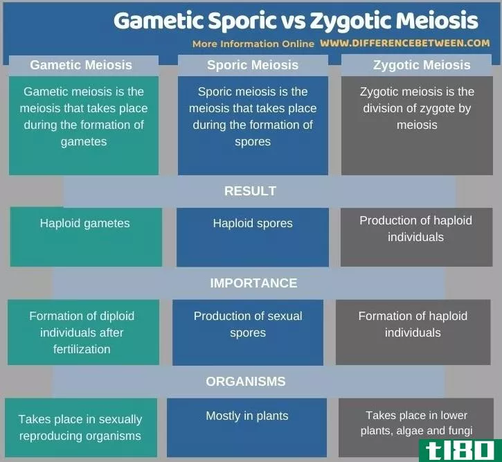 配子孢子(gametic sporic)和合子减数分裂(zygotic meiosis)的区别