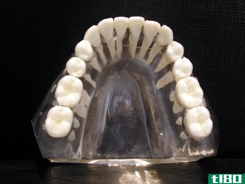 上颌(maxillary)和下颌磨牙(mandibular molars)的区别
