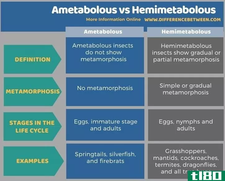 变形金刚(ametabolous)和半代谢(hemimetabolous)的区别