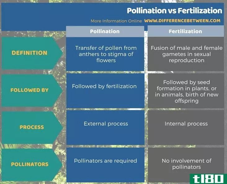 授粉(pollination)和受精(fertilization)的区别