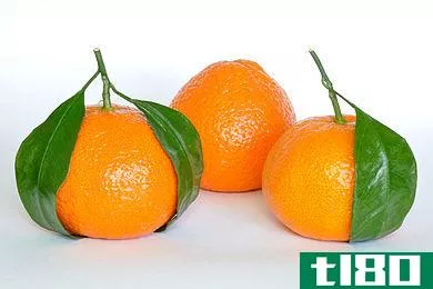 克莱门汀(clementine)和普通话(mandarin)的区别