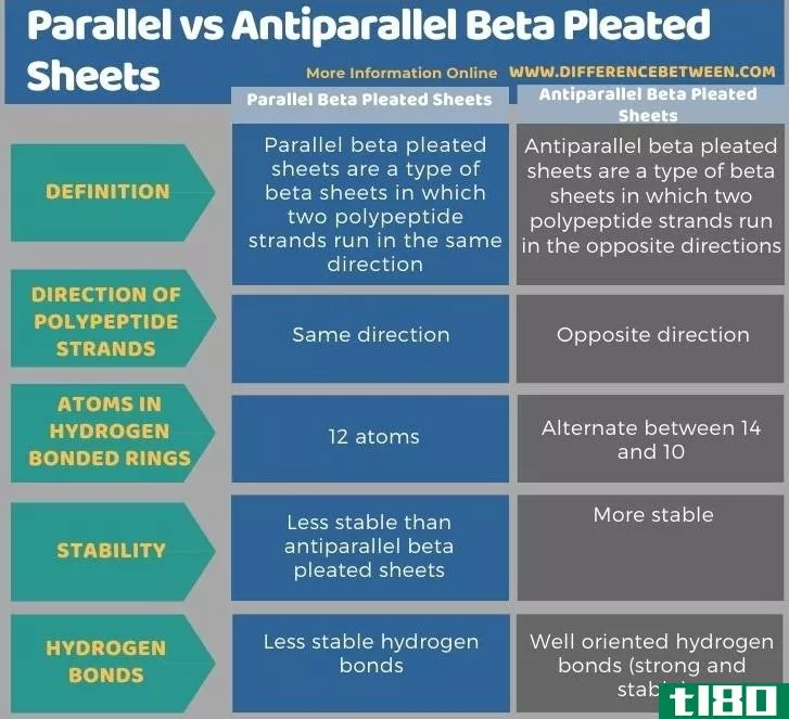平行(parallel)和反平行β折叠片(antiparallel beta pleated sheets)的区别