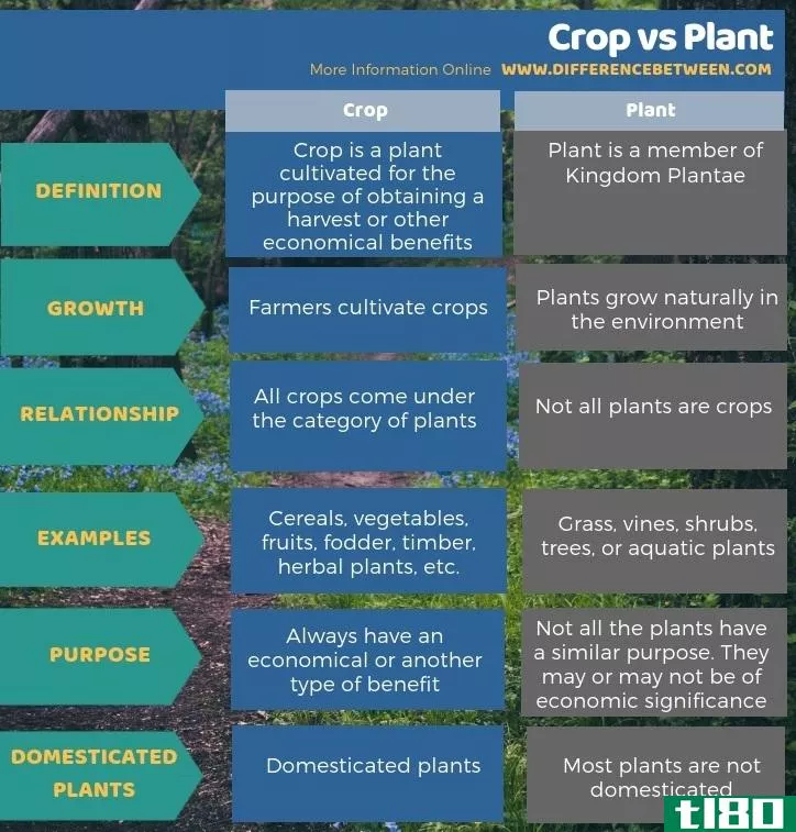 作物(crop)和植物(plant)的区别