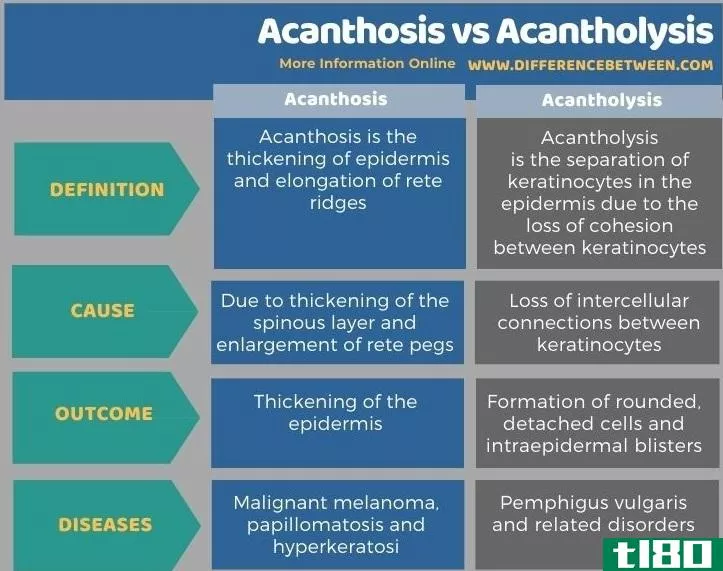 棘皮病(acanthosis)和棘松解术(acantholysis)的区别
