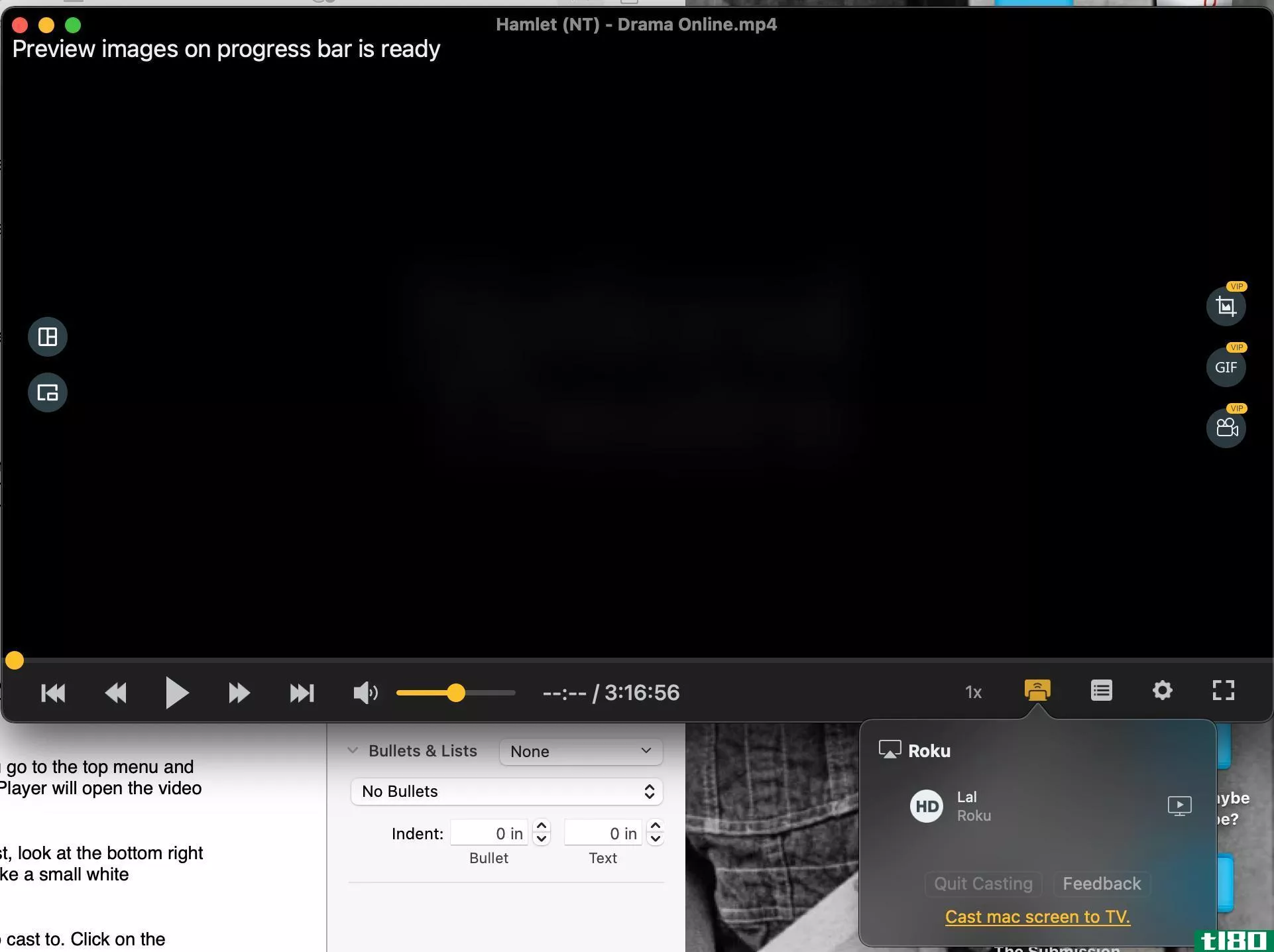 A view of an open video file in the Omni Player app. The casting icon is selected, and a Roku name is visible