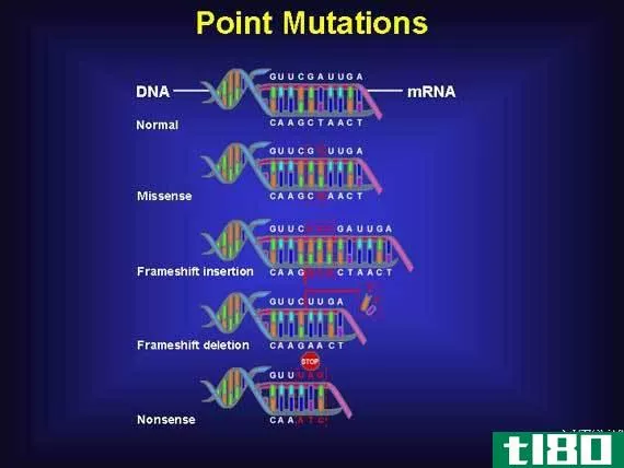 突变(mutation)和重组(recombination)的区别