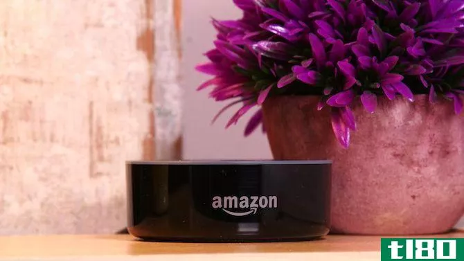 An Amazon Echo next to a flower pot