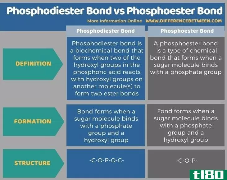 磷酸二酯键(phosphodiester bond)和磷酸酯键(phosphoester bond)的区别