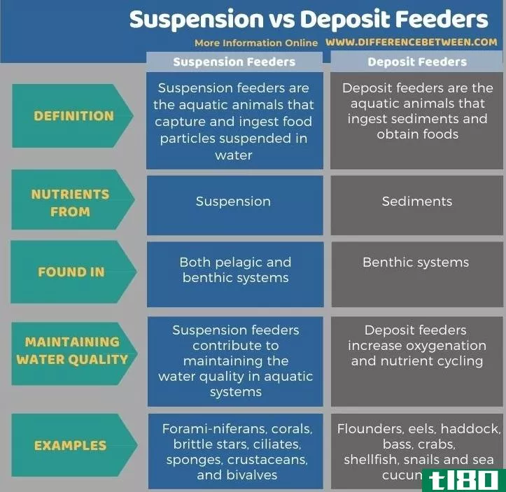 暂停(suspension)和沉积物给料机(deposit feeders)的区别