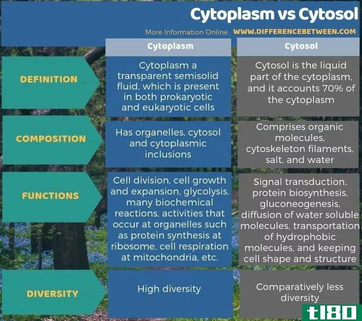 细胞质(cytopla**)和胞浆(cytosol)的区别