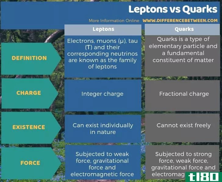 轻子(lept***)和夸克(quarks)的区别