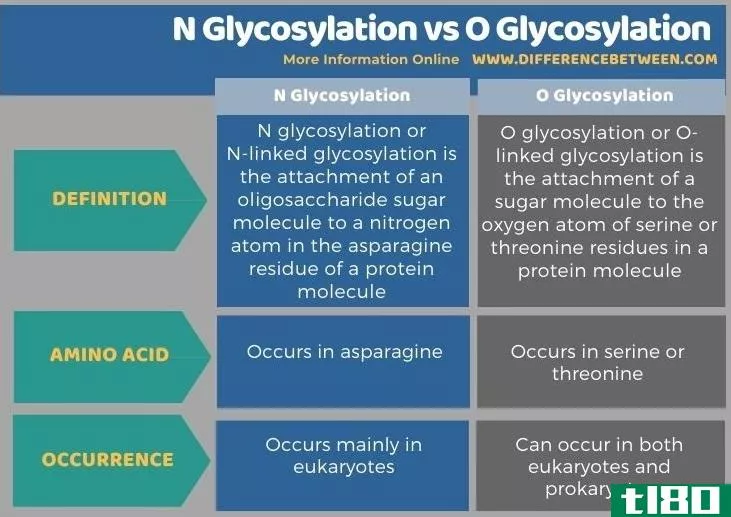 n糖基化(n glycosylation)和糖基化(o glycosylation)的区别