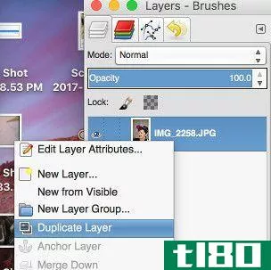 duplicate layers in gimp photo editor