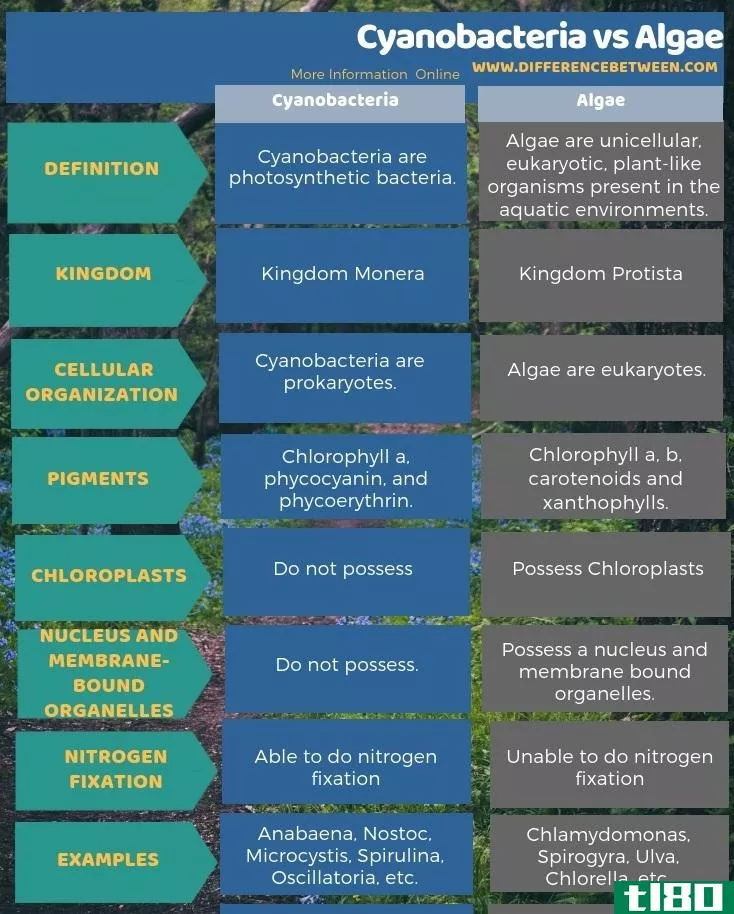 蓝藻(cyanobacteria)和藻类(algae)的区别