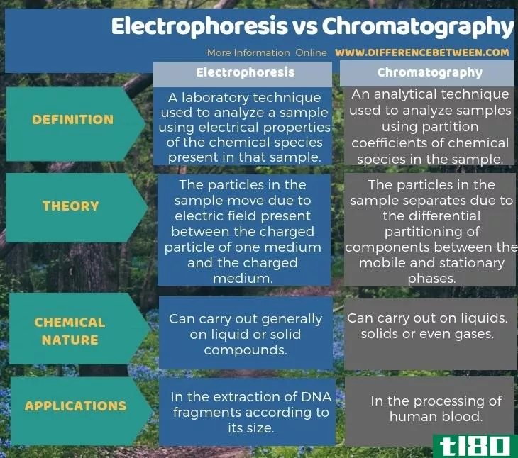 电泳(electrophoresis)和色谱法(chromatography)的区别