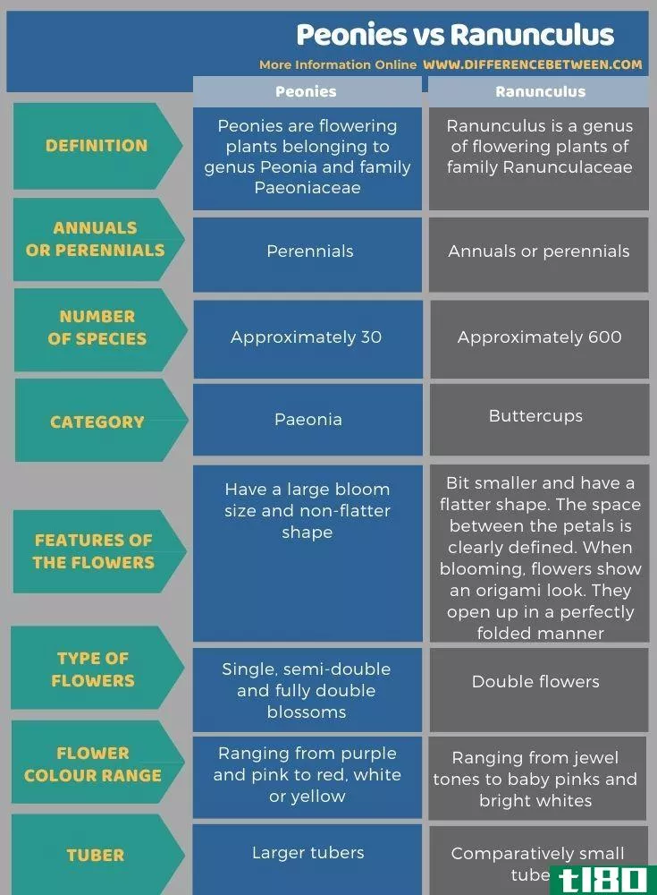 牡丹(peonies)和毛茛(ranunculus)的区别