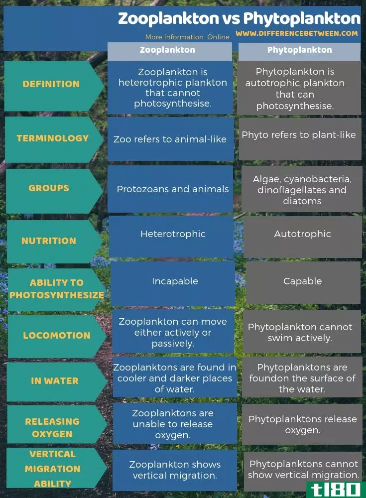 浮游动物(zooplankton)和浮游植物(phytoplankton)的区别