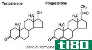 睾酮(************)和类固醇(steroids)的区别