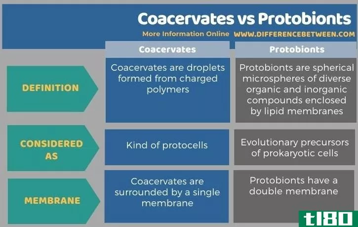 团聚体(coacervates)和原生物(protobionts)的区别