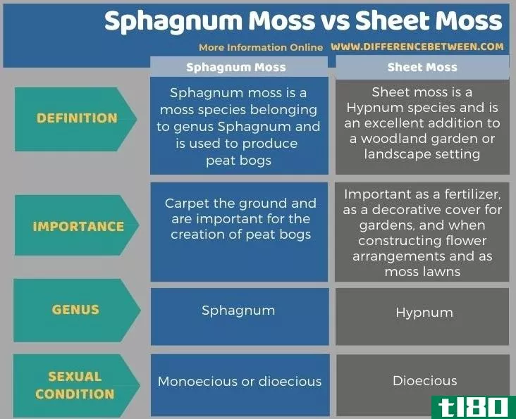 泥炭藓(sphagnum moss)和片状苔藓(sheet moss)的区别