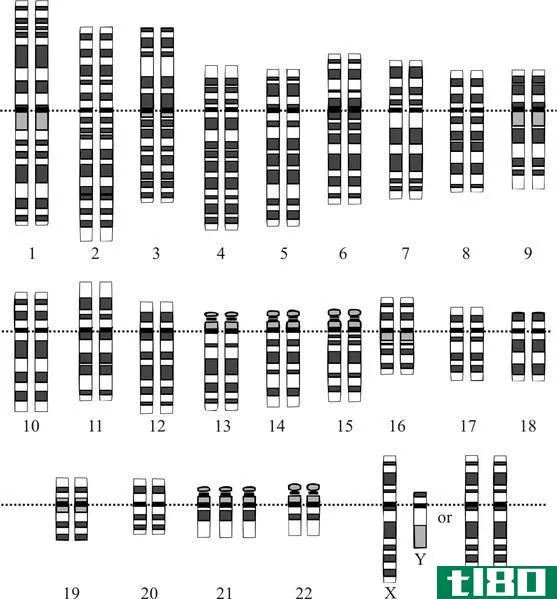 单基因遗传病(monogenic disorders)和染色体病(chromosomal disorders)的区别