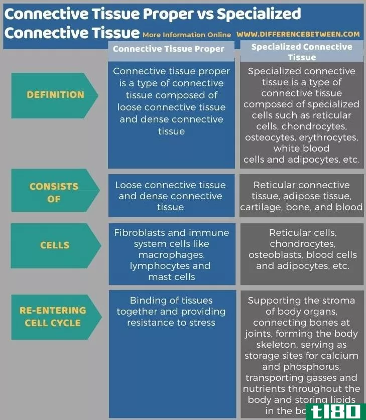 结缔组织本体(connective tissue proper)和特化结缔组织(specialized connective tissue)的区别