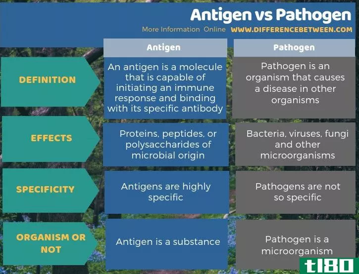 抗原(antigen)和病菌(pathogen)的区别