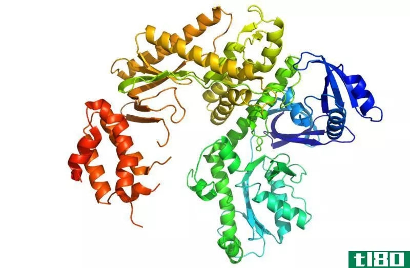 dna聚合酶12(dna polymerase 1 2)和三(3)的区别