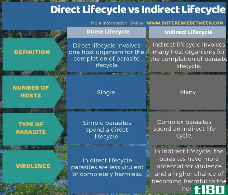 直接生命周期(direct lifecycle)和间接生命周期(indirect lifecycle)的区别