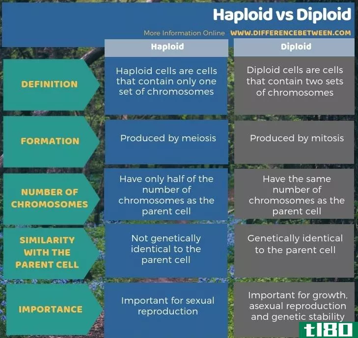 单倍体(haploid)和二倍体(diploid)的区别