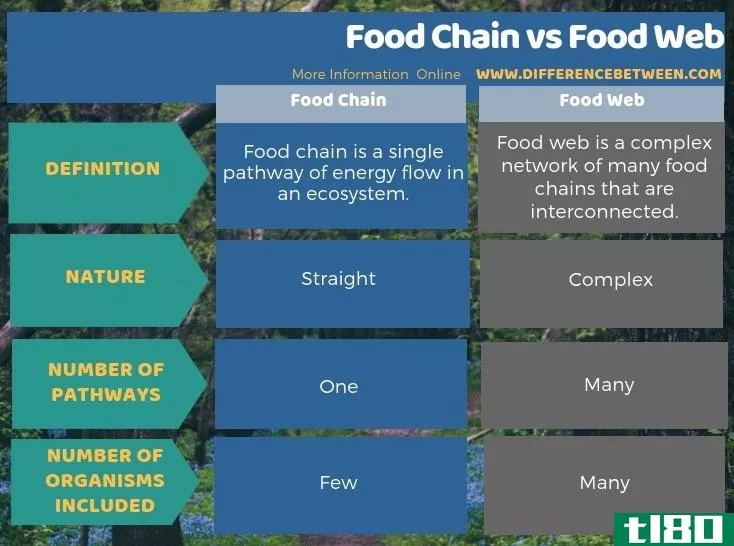 食物链(food chain)和食物网(food web)的区别