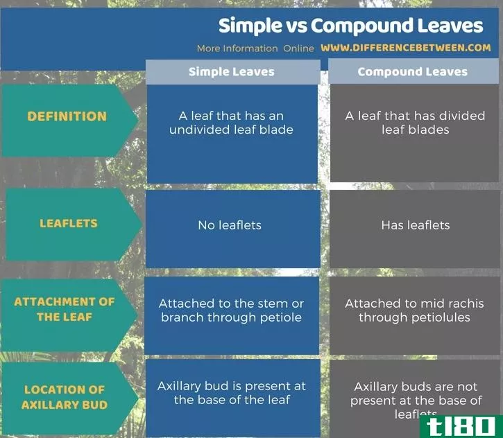 简单的(simple)和复叶(compound leaves)的区别