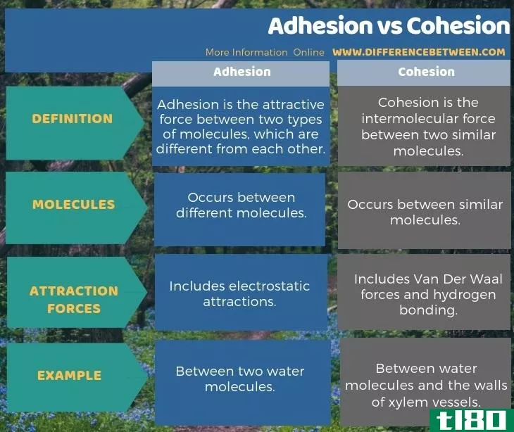 粘附(adhesion)和凝聚(cohesion)的区别