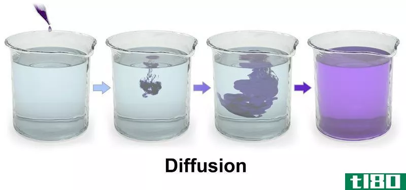 大流量(bulk flow)和扩散(diffusion)的区别