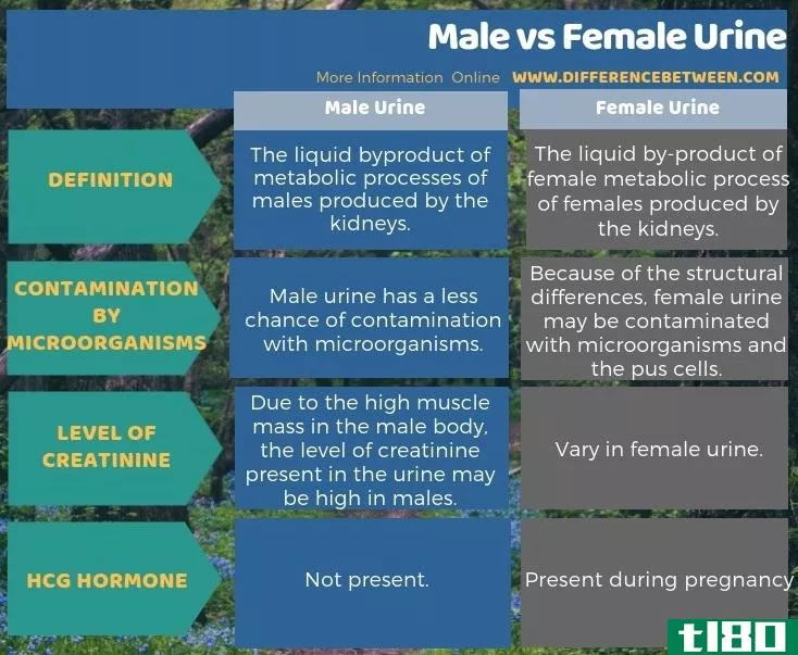 **的(male)和**尿液(female urine)的区别