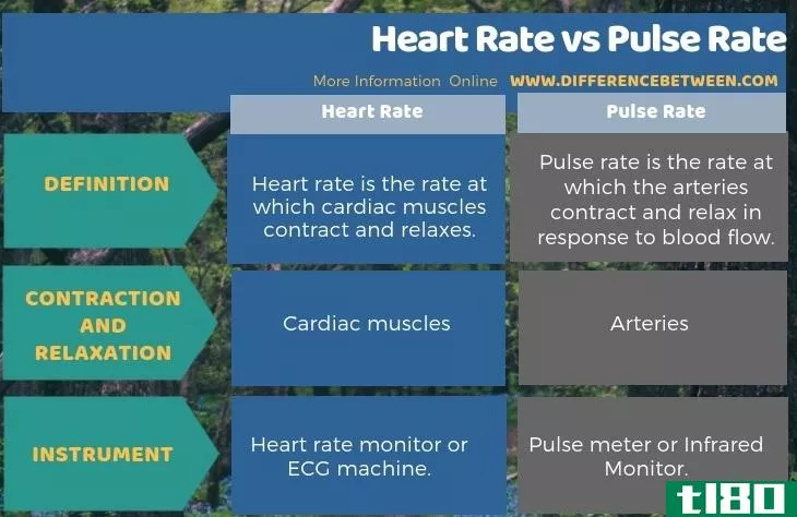 心率(heart rate)和脉搏率(pulse rate)的区别