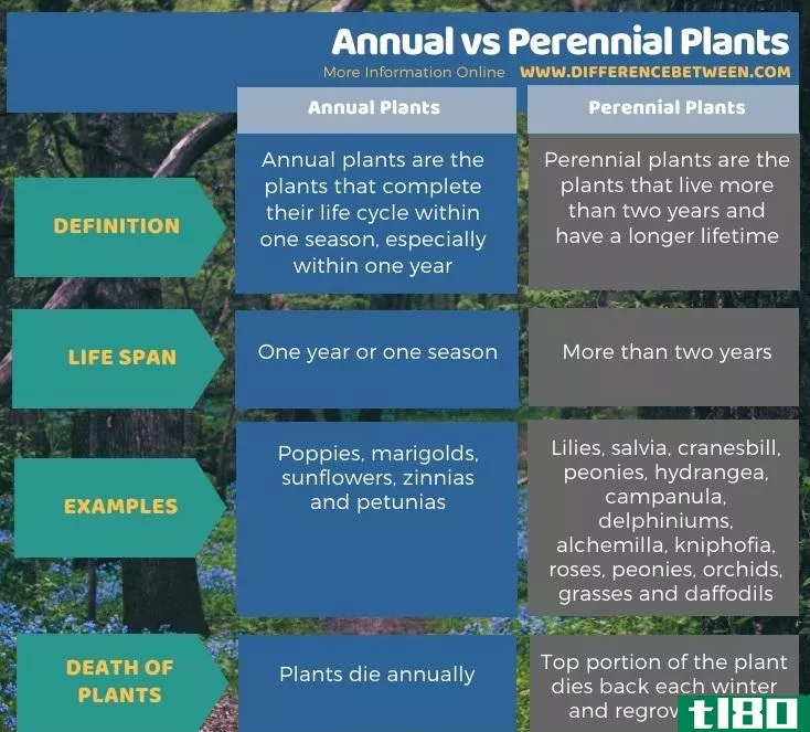 每年的(annual)和多年生植物(perennial plants)的区别