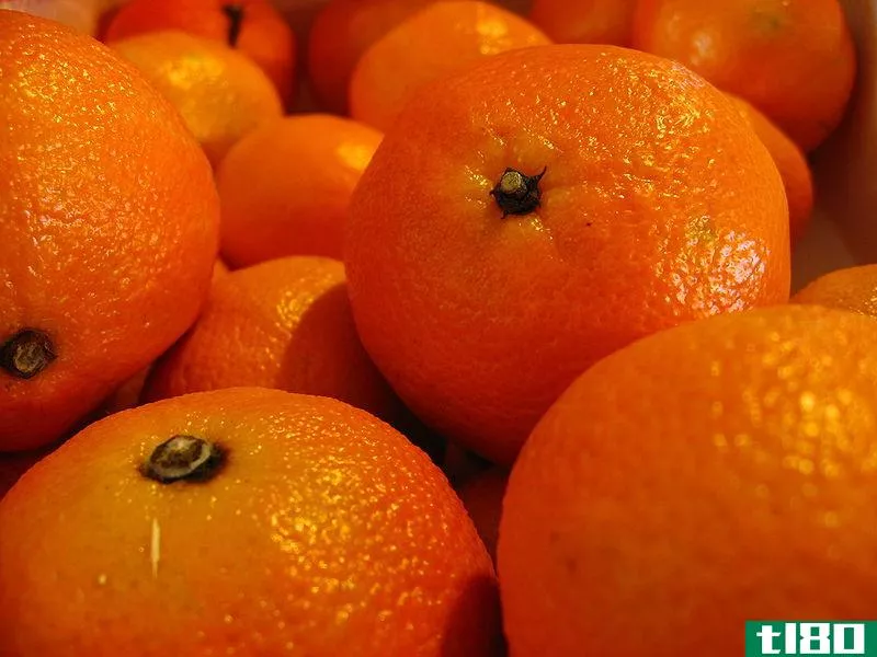 克莱门汀(clementine)和普通话(mandarin)的区别