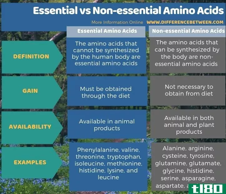 本质的(essential)和非必需氨基酸(non-essential amino acids)的区别