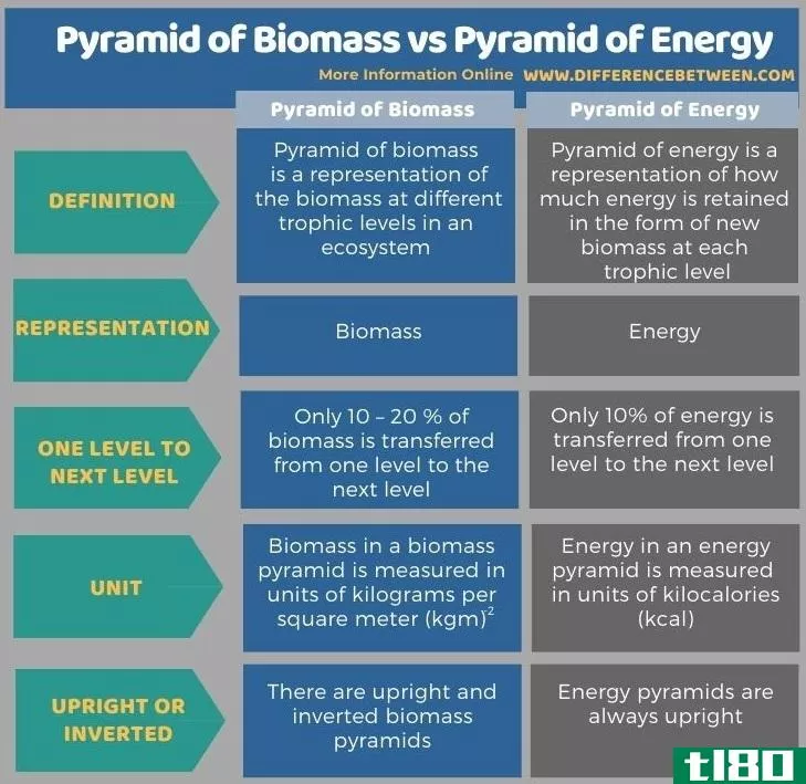 生物量金字塔(pyramid of biomass)和能量金字塔(pyramid of energy)的区别